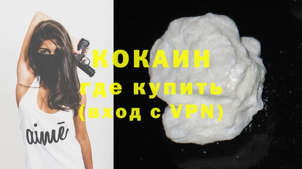 шишки Володарск