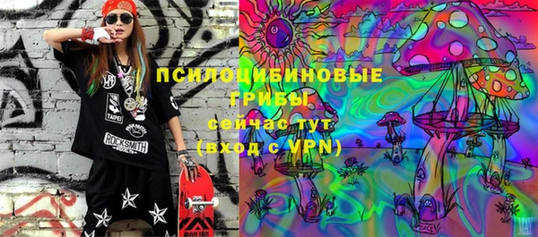 шишки Володарск