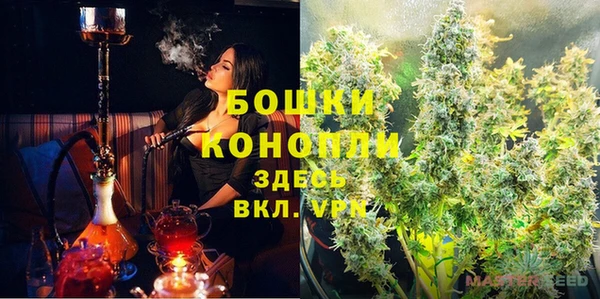 шишки Володарск