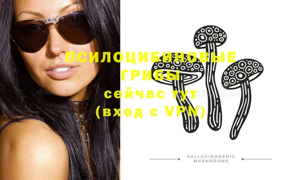 шишки Володарск